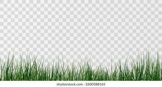  Lush Green Grass.
Natural Grass Patch.Transparent Grass Overlay.
Spring Green Lawn.
Eco Grass Element.