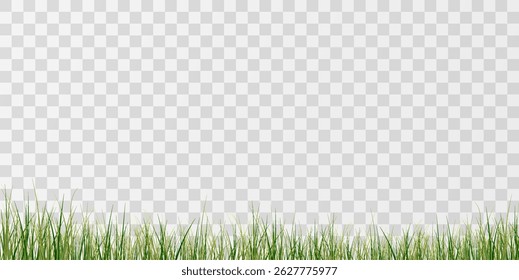  Lush Green Grass.
Natural Grass Patch.Transparent Grass Overlay.
Spring Green Lawn.
Eco Grass Element.