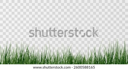  Lush Green Grass.
Natural Grass Patch.Transparent Grass Overlay.
Spring Green Lawn.
Eco Grass Element.
