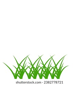 Lush Green Grass. Vector Illustration of Green Grass. Green Grass Background Design Element
