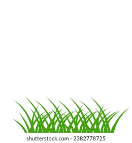 Lush Green Grass. Vector Illustration of Green Grass. Green Grass Background Design Element