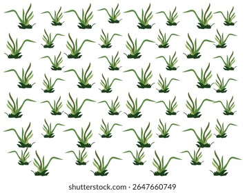 Padrão de ilustração de vetor de grama verde exuberante. Elementos de design natural em fundo branco. Padrão de ilustração de grama.