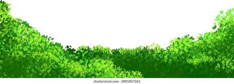 Lush Green Hedge Border with Natural Leaf Texture for Garden and Landscape Decoration