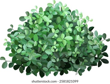 Lush green leaves forming a dense, textured bush, creating an ideal backdrop for nature themed designs and backgrounds, exuding a fresh and vibrant aesthetic for any project