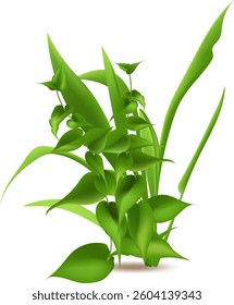 Lush green leaves and stems creating a vibrant and natural scene, perfect for representing growth, nature, or springtime, with a clean white background emphasizing the plant's details