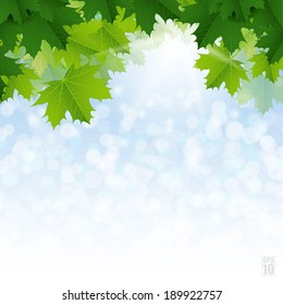 Lush green maple leaves against the blue sky. Vector.
