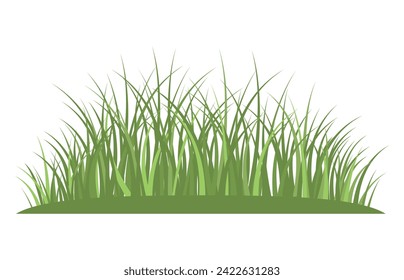 Lush green meadow grass isolated. Close up view. Bright green color. Natural lawn bed. Fresh spring green grass.