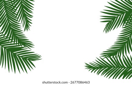 Exuberante fondo de hoja de palma verde. Plantilla tropical aislada en un fondo blanco. Hojas de palma de coco. Follaje vegetal. Vector plana ilustración de verano.