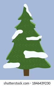 Lush green spruce with snowballs. Evergreen coniferous tree. Good New Year spirit. Forest coniferous vegetation. Cones, needles. Christmas tree, spruce, pine. evergreen on blue background. Flat image