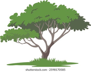 A lush, green tree with a broad canopy. The tree stands on a patch of grass, and its branches spread out in various directions.