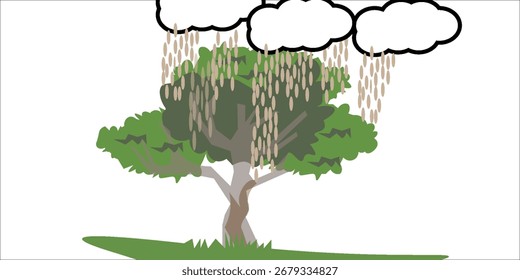 Uma árvore exuberante e verde com um dossel largo. A árvore fica sobre um pedaço de grama, e seus ramos se espalham em várias direções.