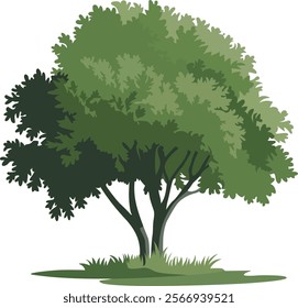 A lush, green tree with dense foliage. The tree stands tall with its roots firmly anchored in a patch of grass.