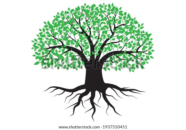 1,365 Tree Silhouette Thick Trunk Images, Stock Photos & Vectors ...