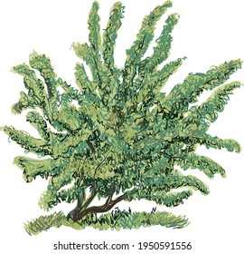 Vector de árbol verde exuberante aislado. Planta de dibujo de garabatos a mano libre.