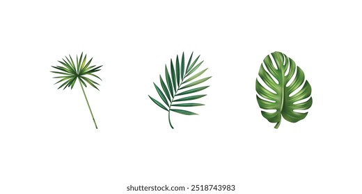 Lush Green Tropical Leaves bush (monstera, palm, rubber plant, pine and fern)