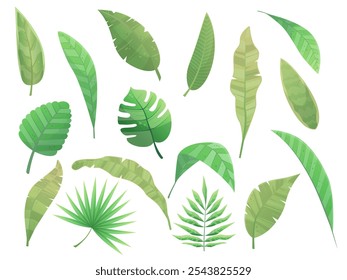 Lush green tropical leaves creating a vibrant and exotic pattern on a clean white backdrop