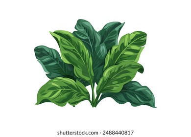 Lush Green Tropical Leaves. Vector illustration design.