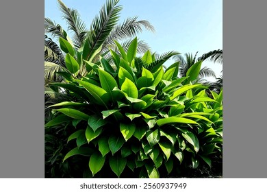 Lush green tropical plants bush