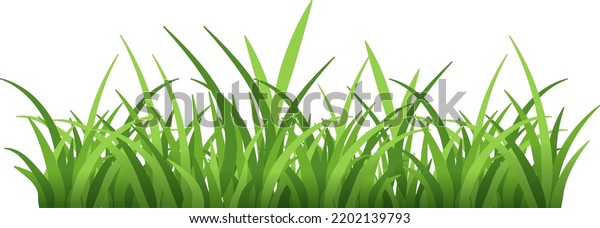 Lush Greenery Border Fresh Grass Nature Stock Vector Royalty Free 2202139793 Shutterstock 8509