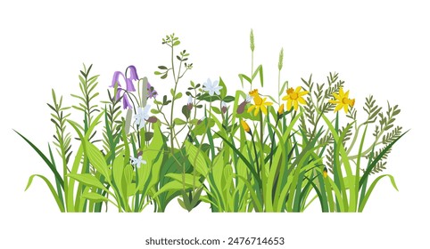 Lush Greenery and Flowers Vector