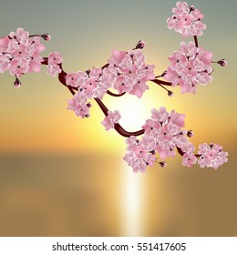 Lush Japanese cherry. A branch of pink cherry blossom. Against the backdrop of a beautiful sunset. Vector illustration