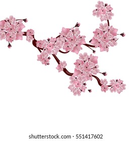 Lush Japanese cherry tree. The branch of pink cherry blossom. Isolated on white background. Vector illustration