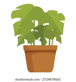 Exuberante planta monstruosa que añade un toque de elegancia tropical a la decoración del hogar o la oficina