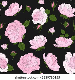 lush peonies, roses seamless pattern. Delicate floral background, hand drawing