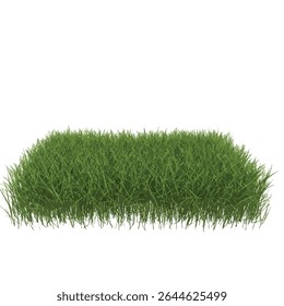 Lush Realistic Green Grass Isolated on White for Design Projects