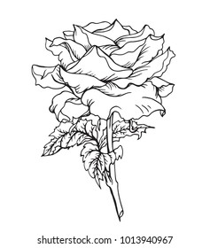 Lush rose with stem and leaves, black and white graphic design, print for packaging, labels and other designs.