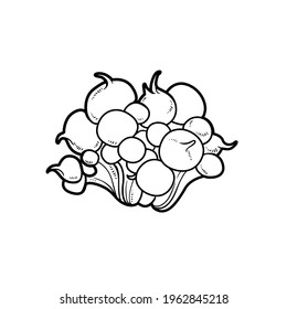 Lush sea anemone coloring book linear drawing isolated on white background