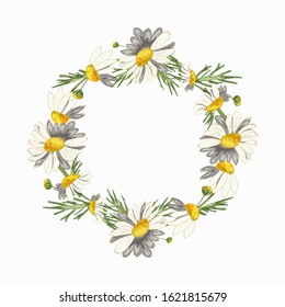 Lush, thick, beautiful wreath of field daisies on a white background. Pharmacy medicinal chamomile with leaves. Realistic style. Spring pattern. Rustic decor.