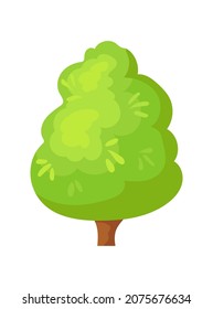 Lush tree. Beautiful leafy on krone deciduous wood, vector design isolated on white background