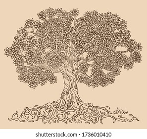 Lush tree drawing vector. Family tree pattern with many leaves, branches and roots.