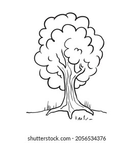 A lush tree with a wide trunk. Vector sketch doodle drawn by hand