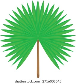 Exuberante árbol tropical con follaje verde vibrante, que representa la belleza natural, el crecimiento y los paisajes exóticos. Comúnmente se encuentran en climas cálidos, los árboles tropicales son Elementos icónicos de selvas tropicales, playas y entornos isleños. Perfecto para temas de naturaleza, viajes, ecología, sostenibilidad y paisajes tropicales.