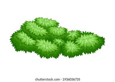 Lush Underwood or Bush as Perennial Woody Plant with Dense Foliage Cover Vector Illustration