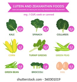 lutein and zeaxanthin foods, info graphic food, fruit and vegetable icon vector