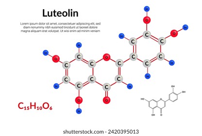 Luteolin molecular structure formula, ball-and-stick model, suitable for education or chemistry science content. Vector illustration