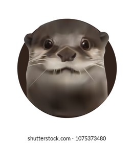 Lutra lutra . Realistic vector illustrations .