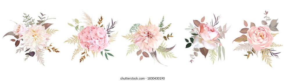 Lujosos ramos florales de diseño vectorial beige moderno. Rosa rosa rosa pastel, rubor, dalia cremosa, hidraangea, ranunculus polvoriento, pasto de pampas, eucalipto. Decoración de bodas. Aislado y editable