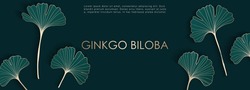 Luxurious botanical dark green vector design with golden outlines of ginkgo biloba leaves. Botanical card, wallpaper, background, poster, banner, cover design.