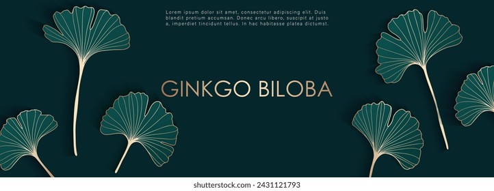 Luxurious botanical dark green vector design with golden outlines of ginkgo biloba leaves. Botanical card, wallpaper, background, poster, banner, cover design.