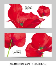 Luxurious bright red vector Poppy flowers paintings on white background with blots and splashes for floral decoration. Template set for invitation cards, wedding, banners, sales