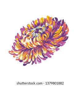 Luxurious decorative vector pink Aster flower for floral decoration, embroidery