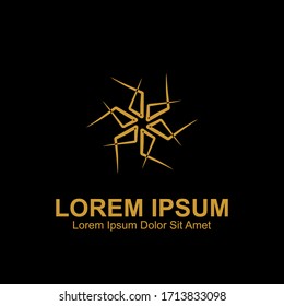 Luxurious Geometric Abstract Flower Logo. Creative Logo Design Template. Isolated on a Dark Background.