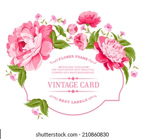 Luxurious invitation card of color peony flowers. Vector illustration.