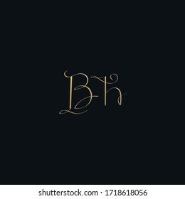 Luxurious modern BH initial based letter icon logo