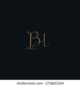 Luxurious modern BL initial based letter icon logo