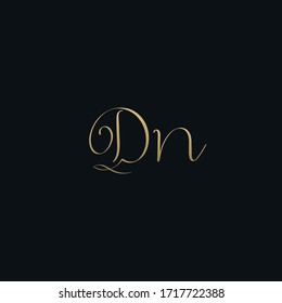 Luxurious modern DN initial based letter icon logo
